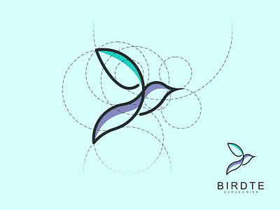 Birdte logo branding corporate branding design illustration lettering logo logo design logodesign minimal vector
