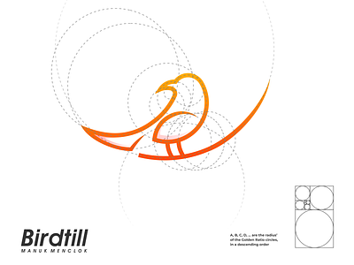 birdtill logo branding corporate branding design illustration logo logodesign typography ui ux vector