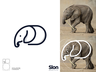 slon logo branding corporate branding design illustration logo logodesign typography ui ux vector