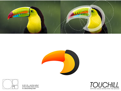 Touchill Logo branding clean corporate branding design illustration logo logodesign minimal minimalist modern simple toucan typography vector