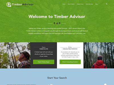 Timber Advisor branding design flat identity logo resonsive design ui ux web website