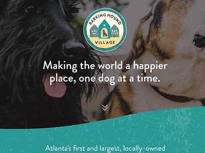 Barking Hound Village branding design doggy daycare dogs illustration responsive design ui ux web website