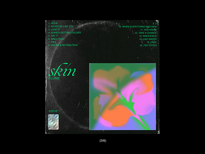 skin//flume cover art