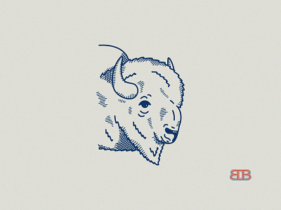 Buffalo Bros branding design graphic graphicdesign icon illustration lettering lettering artist logo minimal