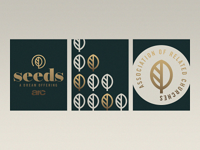 Seeds - A Dream Offering branding design graphic graphicdesign icon illustration lettering lettering artist logo minimal