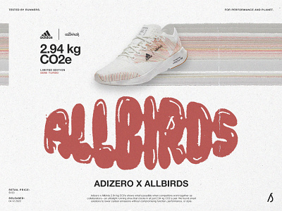 Allbirds 2.94 kg CO2e branding design graphic graphicdesign illustration logo minimal ui ux vector