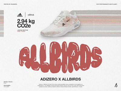 Allbirds 2.94 kg CO2e