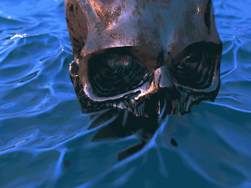 Ocean Skull Little Test c4d ocean skull
