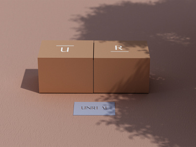 Structural packaging design : UNREAL branding color logodesign packaging structural
