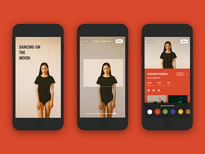 Profile Editing colors edit musical.ly poster profile redesign ui ux