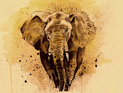 Elephant animal elephant ink watercolor