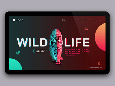 National Park Wild Life art colors design effect flat illustration india minimal photoshop tiger ui ux ux design web website wildlife