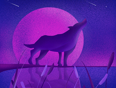Dont Cry Wolf design drawing graphic illustration ipad procreate procreate app wolf