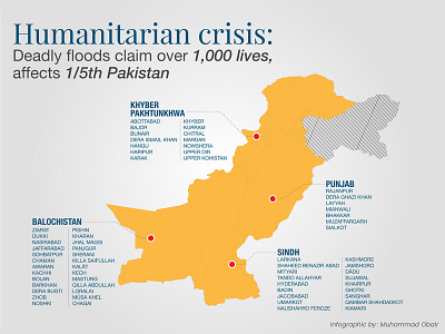 Infographic design for Humanitarian crisis
