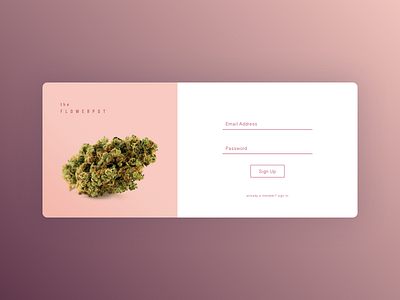 Daily UI 001 - Sign Up cannabis card dailyui flower pink sign up ui weed