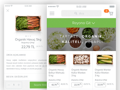 Product Detail aslanoba e commerce food list organic product detail tasarım tazedirekt ui