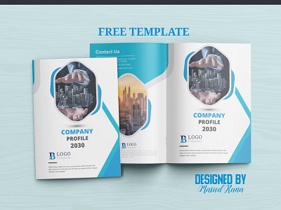 Corporate Business Brochure Design graphic design