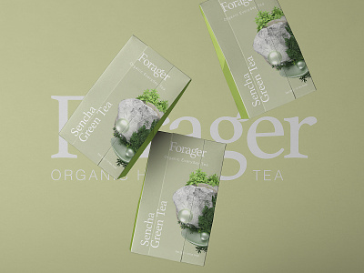 Forager l Organic Everyday Tea adobe art branding cinema4d health layout logo logo design octane packaging packaging design tea tpye