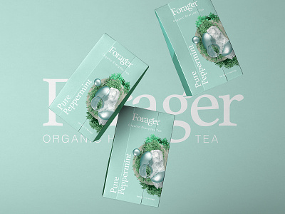 Forager l Organic Everyday Tea