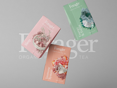 Forager l Organic Everyday Tea