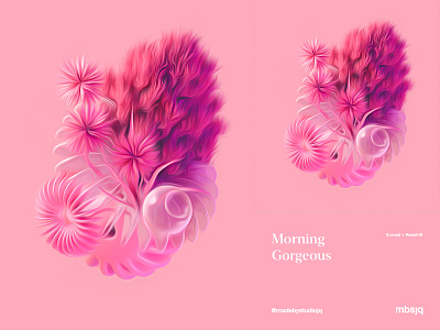 Morning Gorgeous 3d 3d artist 3dart c4d cinema 4d cinema4d flowers pink redesign concept redshift web