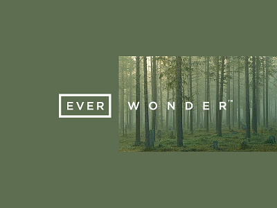 EVER WONDER™ brand branding forest green identity kerning logo trees