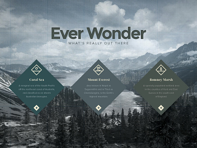 EVER WONDER™ // Web layout 2 branding forest icon icon set icons logo mountains ocean texture vector web