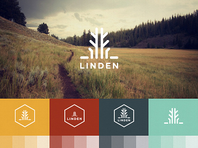 LINDEN // Identity & Brand deck brand branding clean color icon icons identity image logo logomark