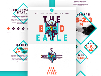Bald Eagle Landing Page animals clean colour flat gallery icons layout menu navigation ui web design website
