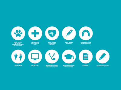 2nd submission - Icons for a Veterinary college brochure green icons iconset minimal veterinary