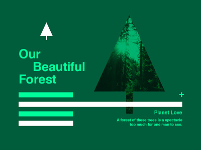 ∆ Planet Love | Our Beautiful Forest ∆ color forest graphics green love tree trees type world