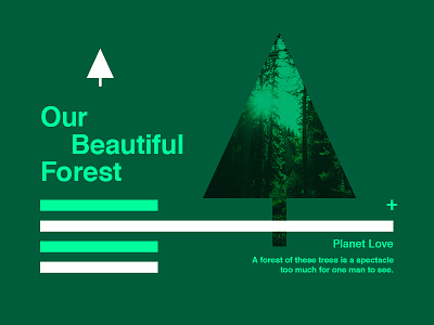 ∆ Planet Love | Our Beautiful Forest ∆