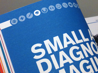 Brochure landed - Icons for a Veterinary college brochure