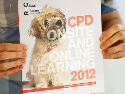 RVC CPD 2012 Brochure - Cover