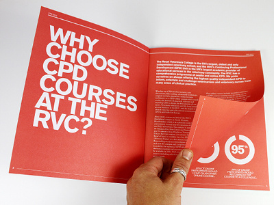 RVC CPD 2012 Brochure - Stats brochure design graphic typography uncoated stock