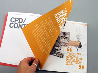 RVC CPD 2012 Brochure - Section spread brochure icons print titles typography yellow