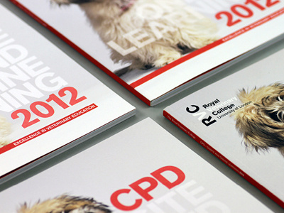 RVC CPD 2012 Brochure - Spot gloss cover presentation black clean graphic design graphics icons info graphics infographics typeface