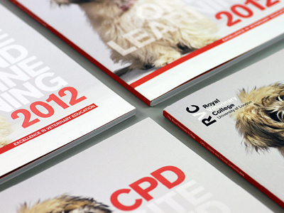 RVC CPD 2012 Brochure - Spot gloss cover presentation