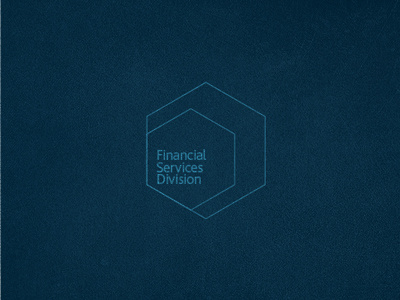 FSD blue branding clean logo logomark texture