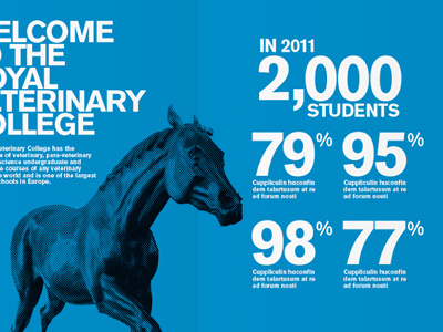 Concept work (layouts) for a new brochure animals blue brochure graphic design layout stats