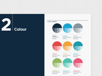 Colour palette / brandbook brand branding colour graphic design guidelines layout palette texture