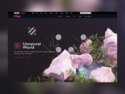 NASA X BBC iPlayer | Unnatural World bbc c4dr20 ui cinema4d clean interaction interactive minimal nature nature illustration octane uidesign uidesigner ux web web design webgl website wildlife