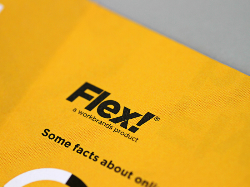 Флес. Flex logo. Fome Flex лого. T-Flex логотип. Rico Flex логотип.