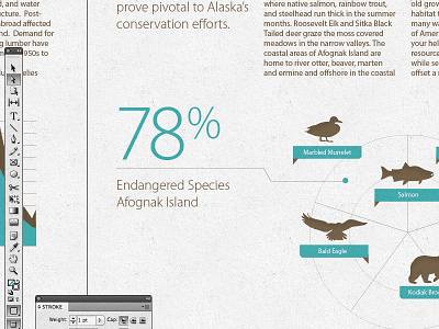 Brochure layout for a clean energy company