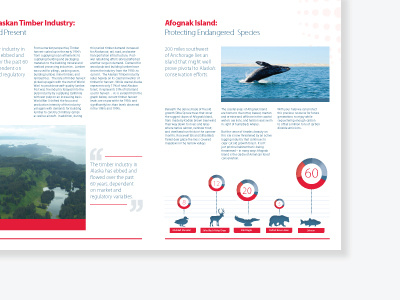Brochure layout for a clean energy company 2