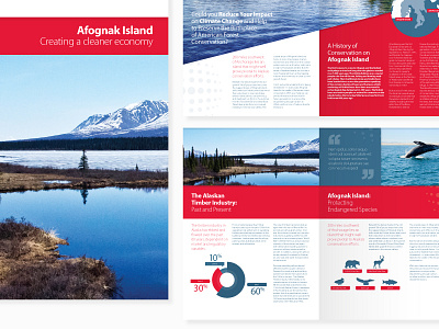 Brochure layout for a clean energy company 3