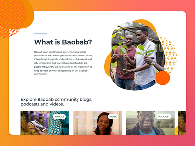 Baobab media card carousel africa buttons carousel content hierarchy design development graphic design modal patterns pills rfi social app tags ui ux web design
