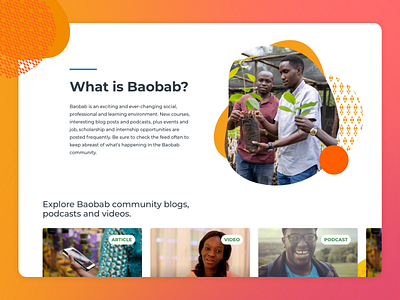 Baobab media card carousel