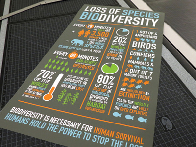 Biodiversity Infographic design graphicdesign infographic