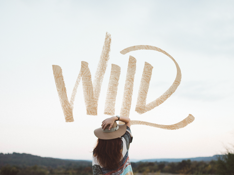 Wild hand. Landscape Lettering. Wild Letters separately.